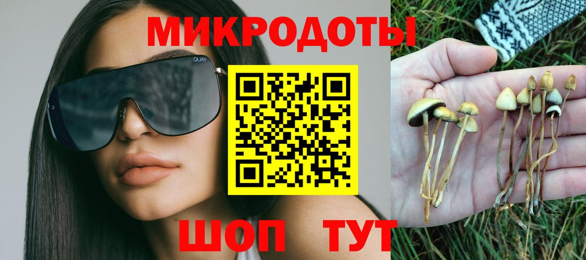 Алатырь  Псилоцибиновые грибы ЛСД  Вход с VPN  Галлюциногенные грибы Psilocybe 